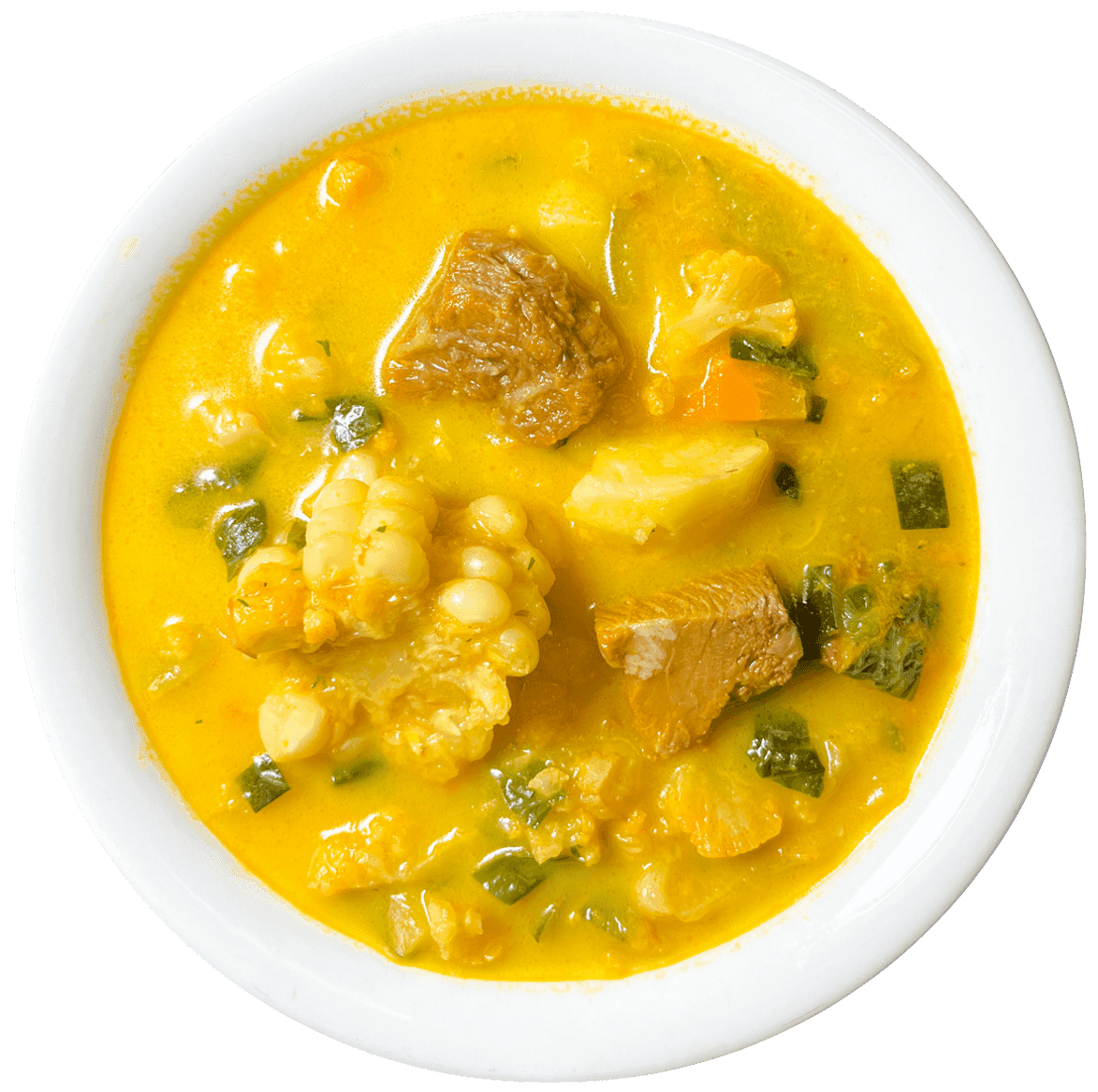 Sopa de vegetales con carne.